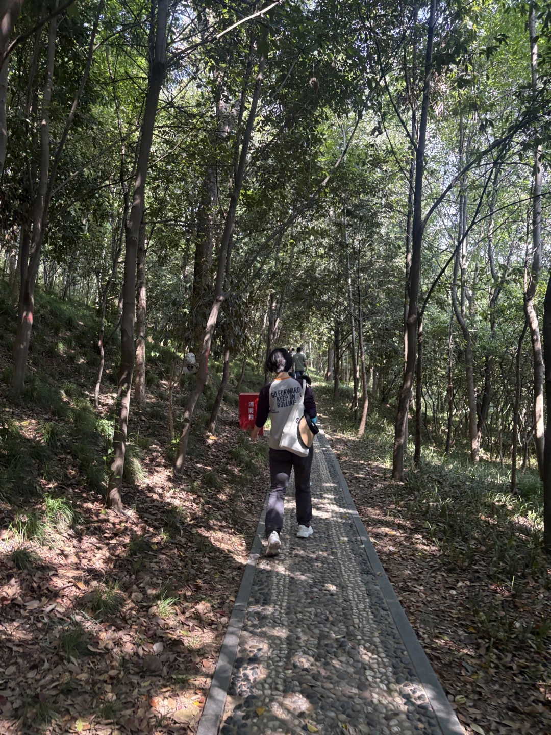 重阳刚过，我把上海4座山的门票、停车和难度一次排明白