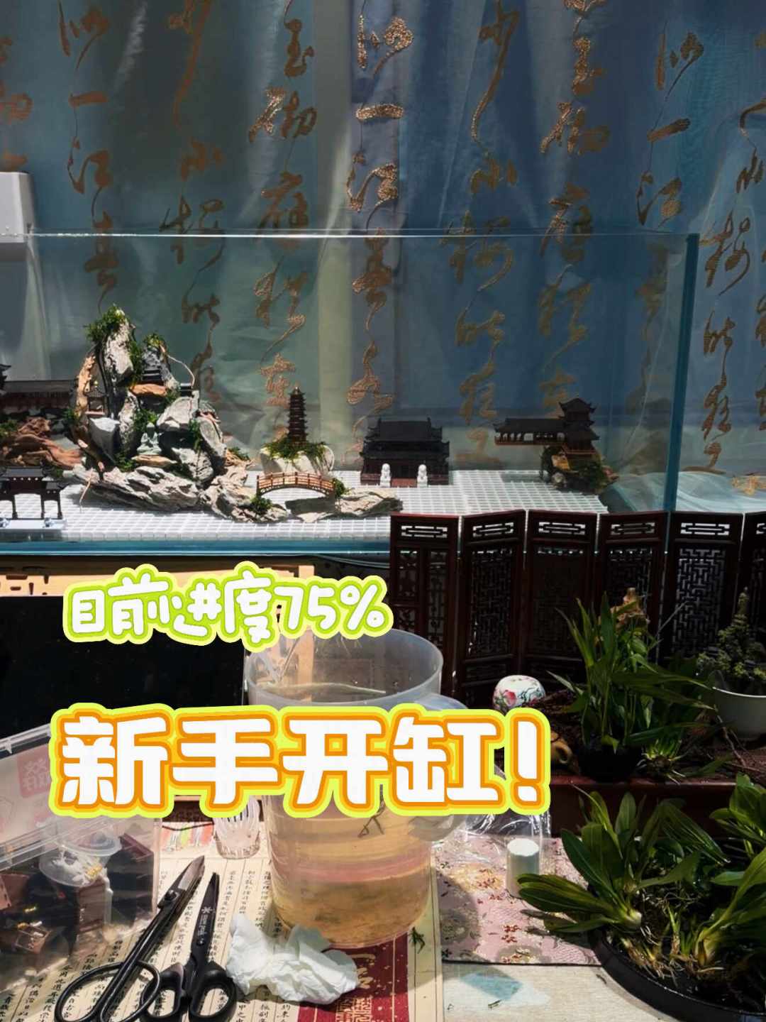 鱼缸里的“迷你江南”火了:景是真绝,评论区都在问“洗得干净吗”