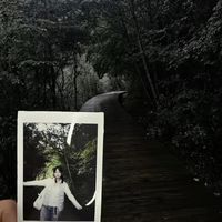 左航分享九寨沟游客照 拼接长图记录真实美景引发奇妙共鸣