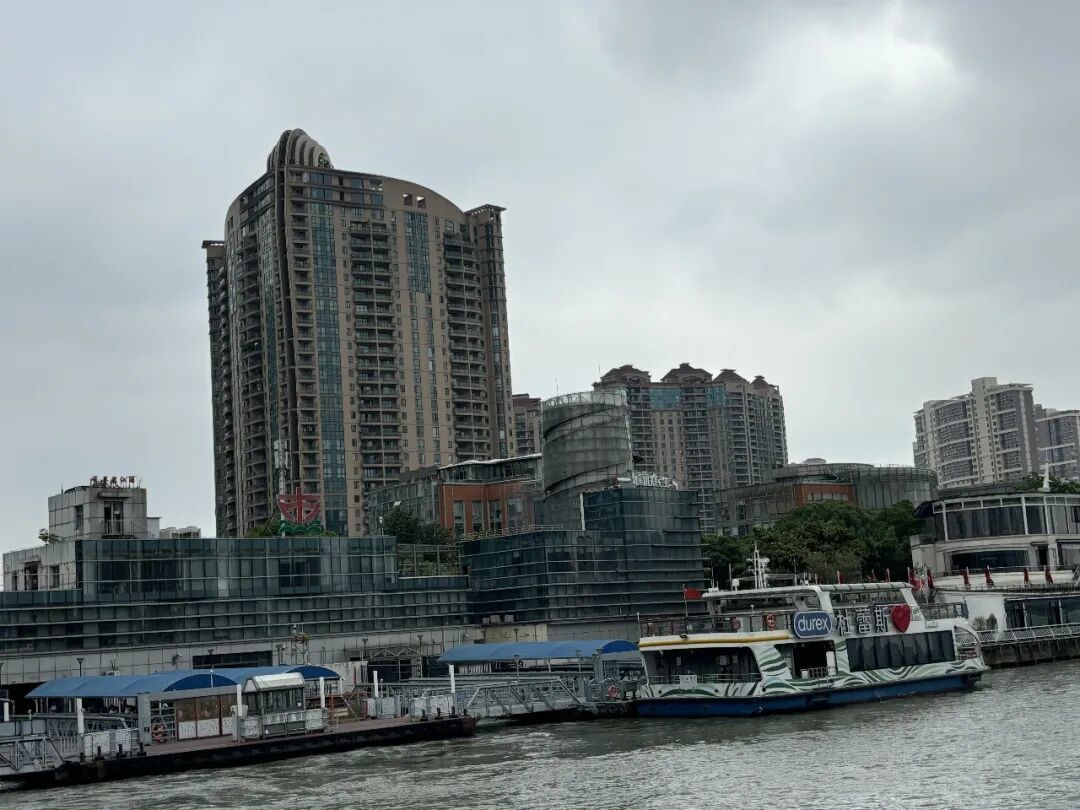 降温别硬走外滩:黄浦江5种船票,账和坑我排清了