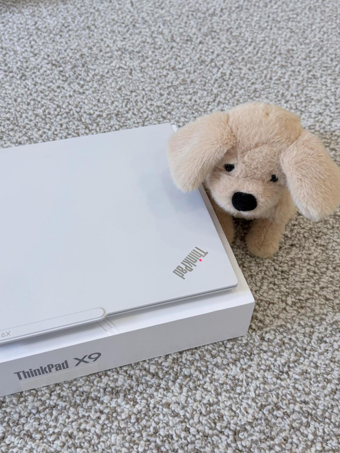 「年底8000拿下338H」撞上「年底只会更高」:ThinkPad双11对账党,10月12-20日窗口今晚收口前,先把价梯、内存、退路这三本账对完