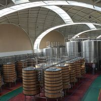 「盒马老藤西拉打到68」撞上「富邑连卖三块葡萄园」：双11囤酒对账党，今晚8点闸门前，先把价梯、机制、退路这三本账对完