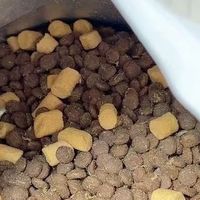 诚实一口P40 PLUS冻干双拼开袋实拍记录
