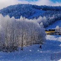 离开板还有一个月，转让帖先刷屏了：雪季早鸟住滑我拆成三本账——差价是真的，悄悄收回差价的条款也是