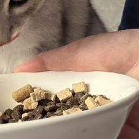 诚实一口P40 PLUS拆袋实拍冻干给得挺实在