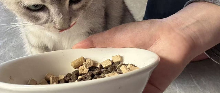 诚实一口P40 PLUS拆袋实拍冻干给得挺实在