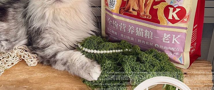 双十一正在补主粮和熟悉冻干，我把每项采购对应的家庭需求记清楚