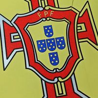 停赛30天、罚款255欧，却一场没耽误：C罗这处罚算轻吗？