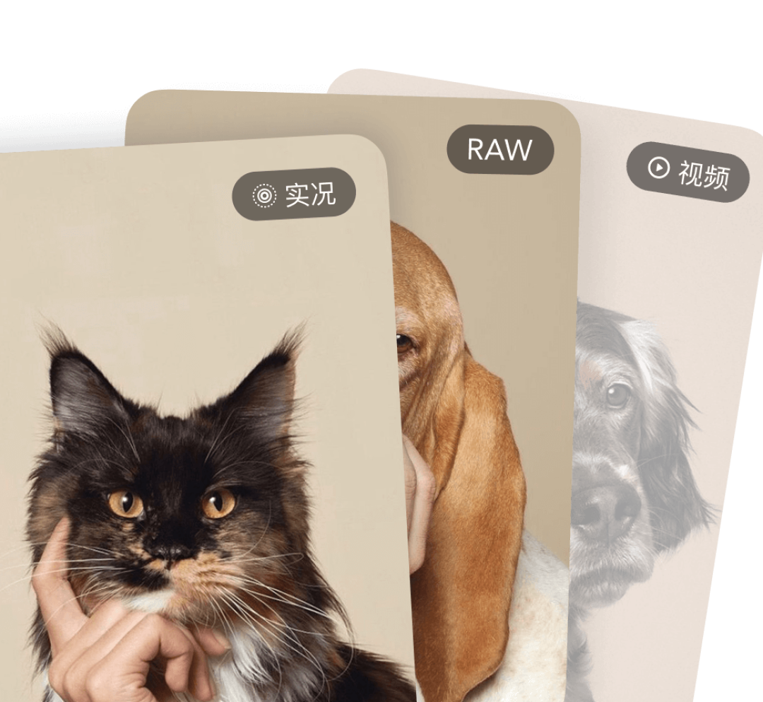 飞牛把相册拆成独立APP:让家人用上你装的NAS的第一步