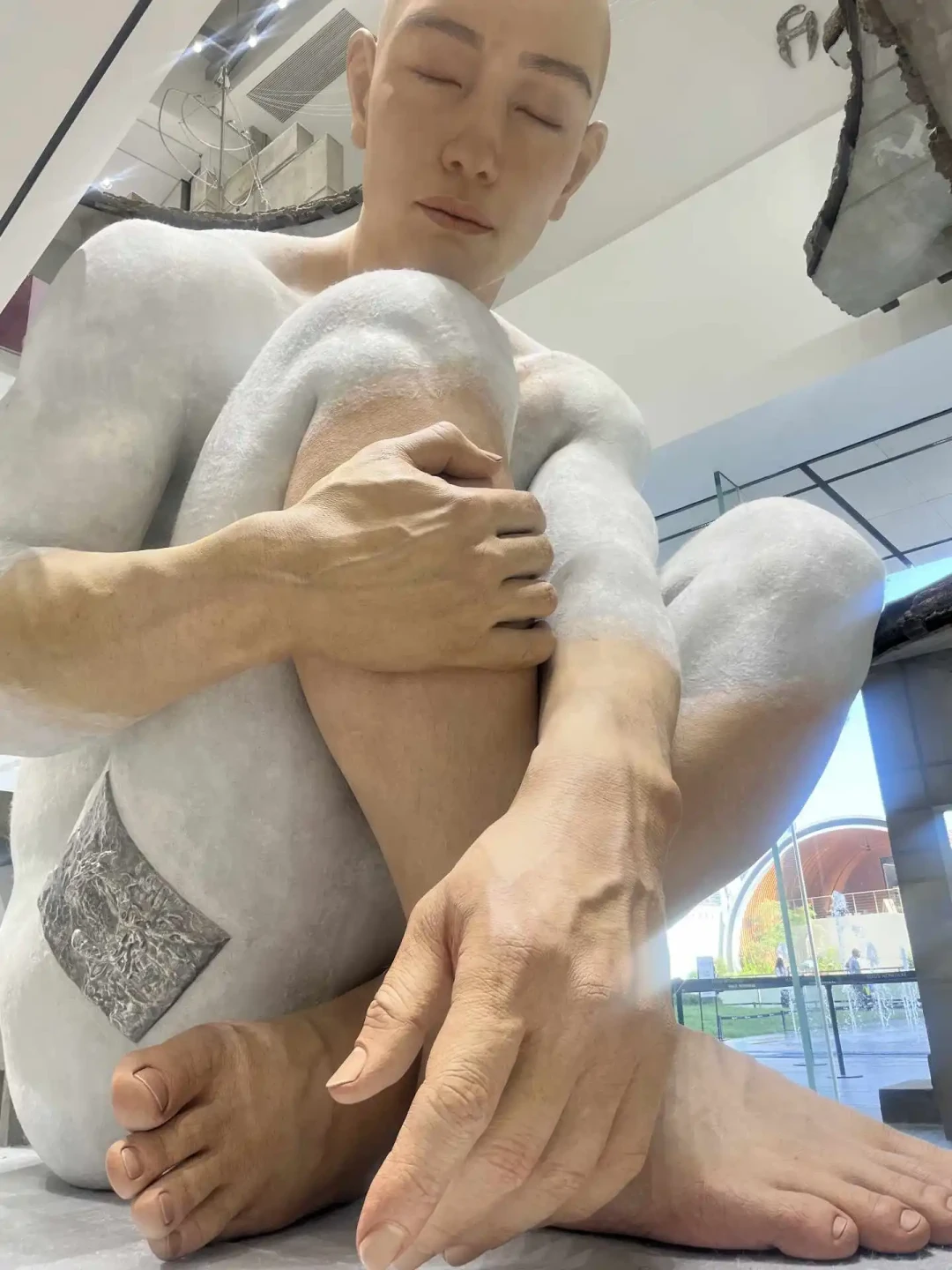 「全是人」和「往那一站就出片」都是真的：这个周末的巨人展，先把城市、时段、机位这三本账对完