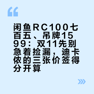 闲鱼RC100七百五、吊牌1599：双11先别急着捡漏，迪卡侬的三张价签得分开算