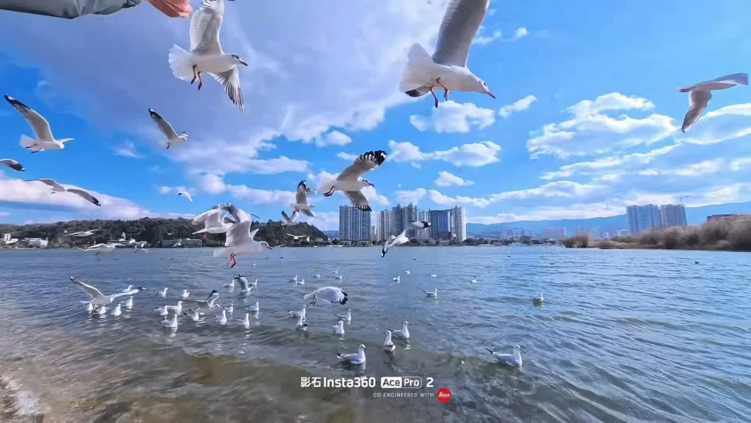 影石拍出来糊的求助帖今年已经刷了20条:归成5类原因,大部分卡在导出链路和40厘米对焦距离,退货前先自查10分钟