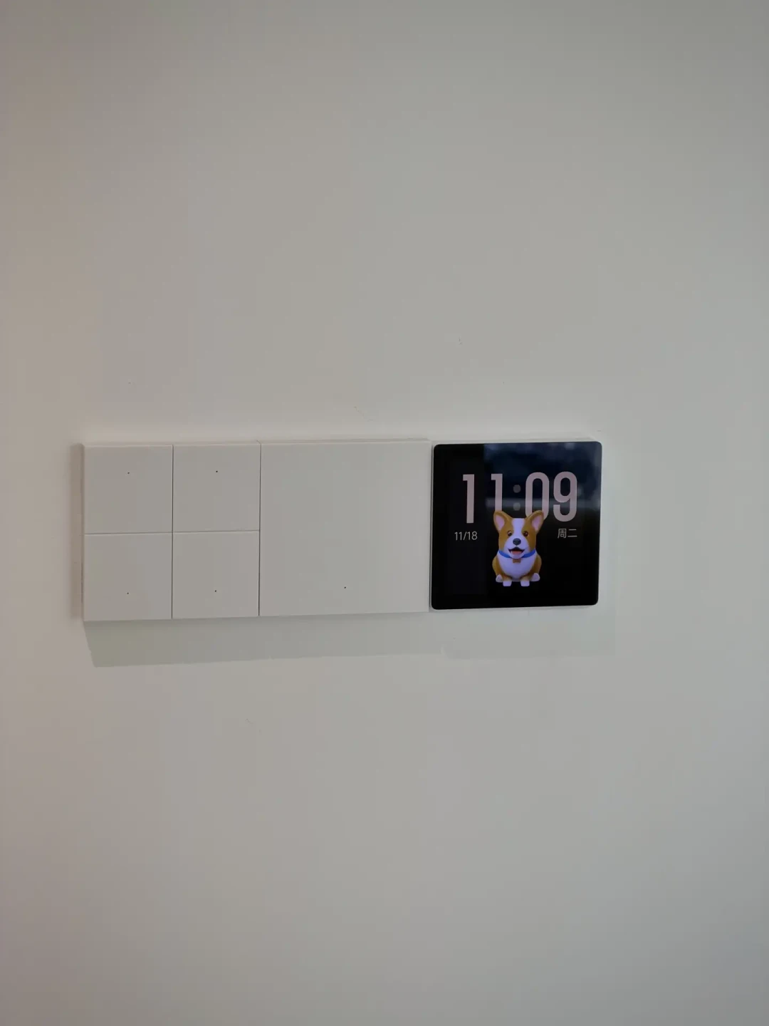双11