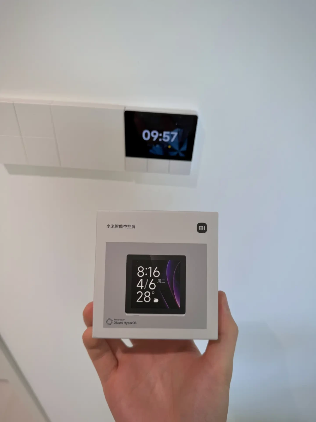 双11