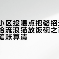 上海一小区投喂点把貉招进来了：入冬给流浪猫放饭碗之前，先把这四笔账算清