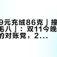 「2299元充绒86克」撞上「只便宜两毛八」：双11今晚要下手波司登的对账党，20点闸门前，先把系列、参数、价梯这三本账对完