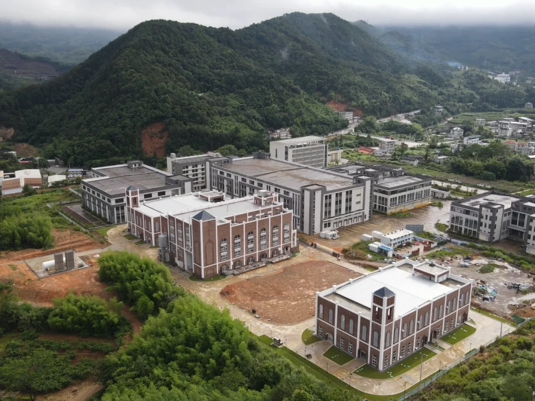 「阿贝漩涡389弹回449」撞上「免税1L做到395」:双11威士忌囤货对价党,今晚8点闸门前,先把毫升价、渠道、税差这三本账对完