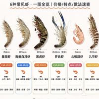 买虾别只看价格!6种常见虾一张图教你选