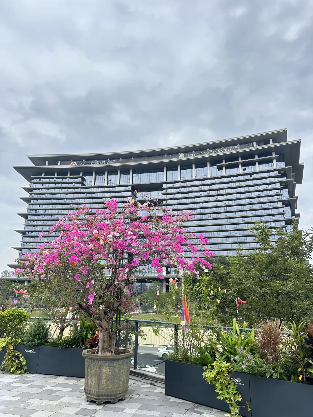 距深圳APEC还有29天：刷屏的