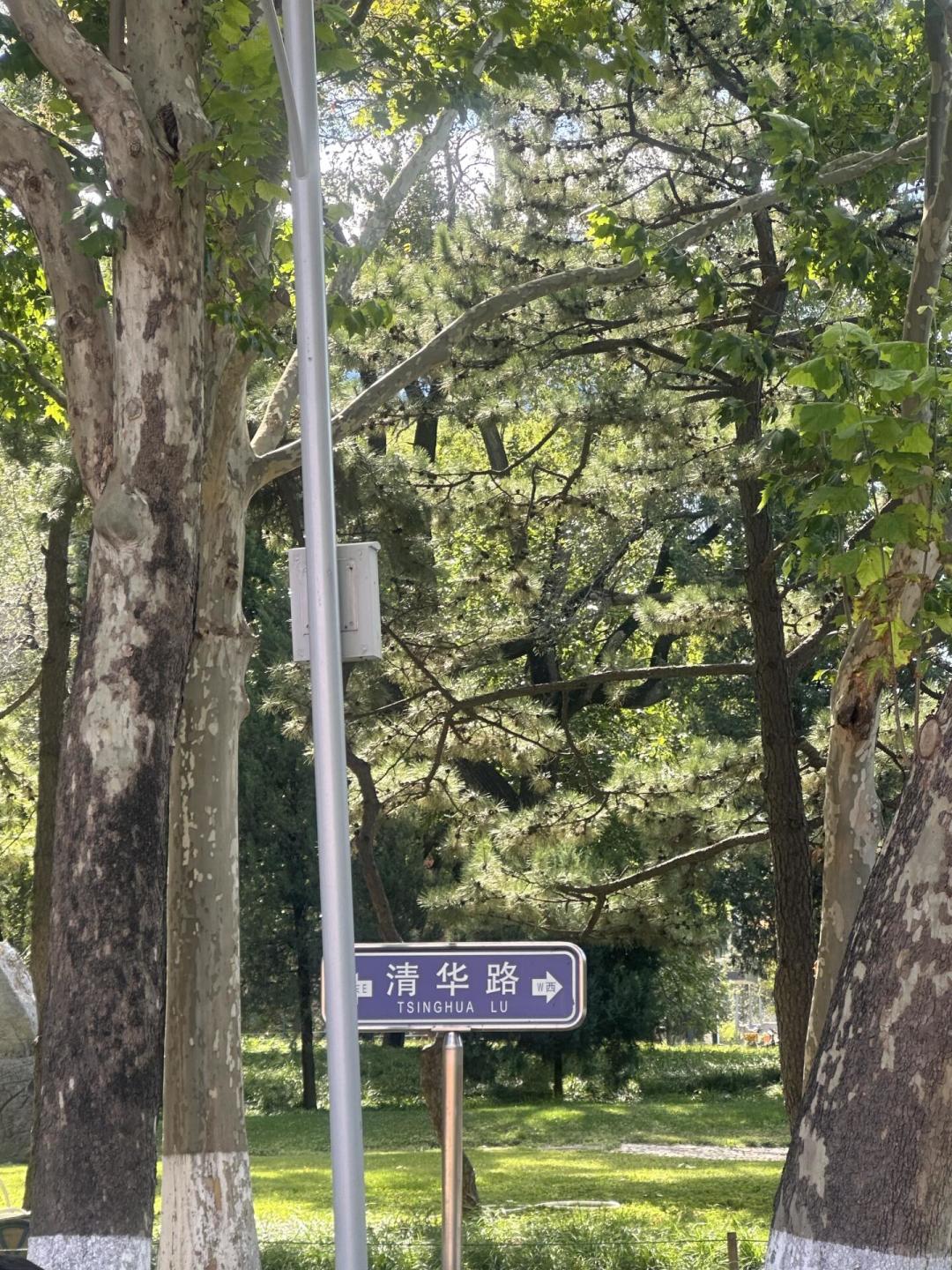 私藏遛娃地藏在大学校门后:刷证、预约还是抽签,先搞清楚再出门