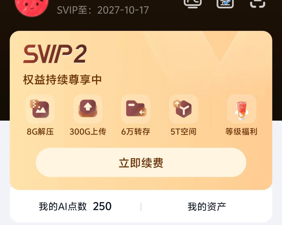 双11前小红书涌出一排