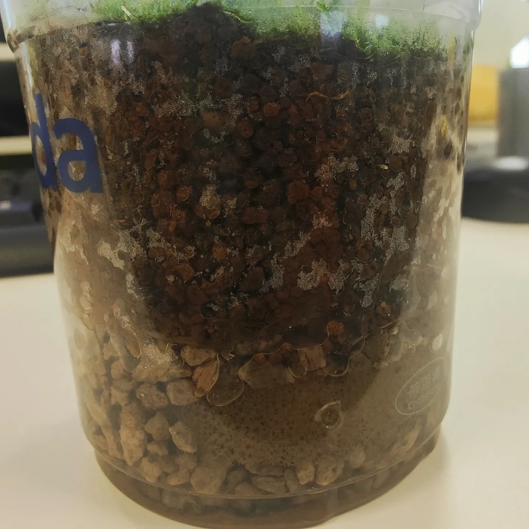 全网都在给奶茶杯打孔:这波