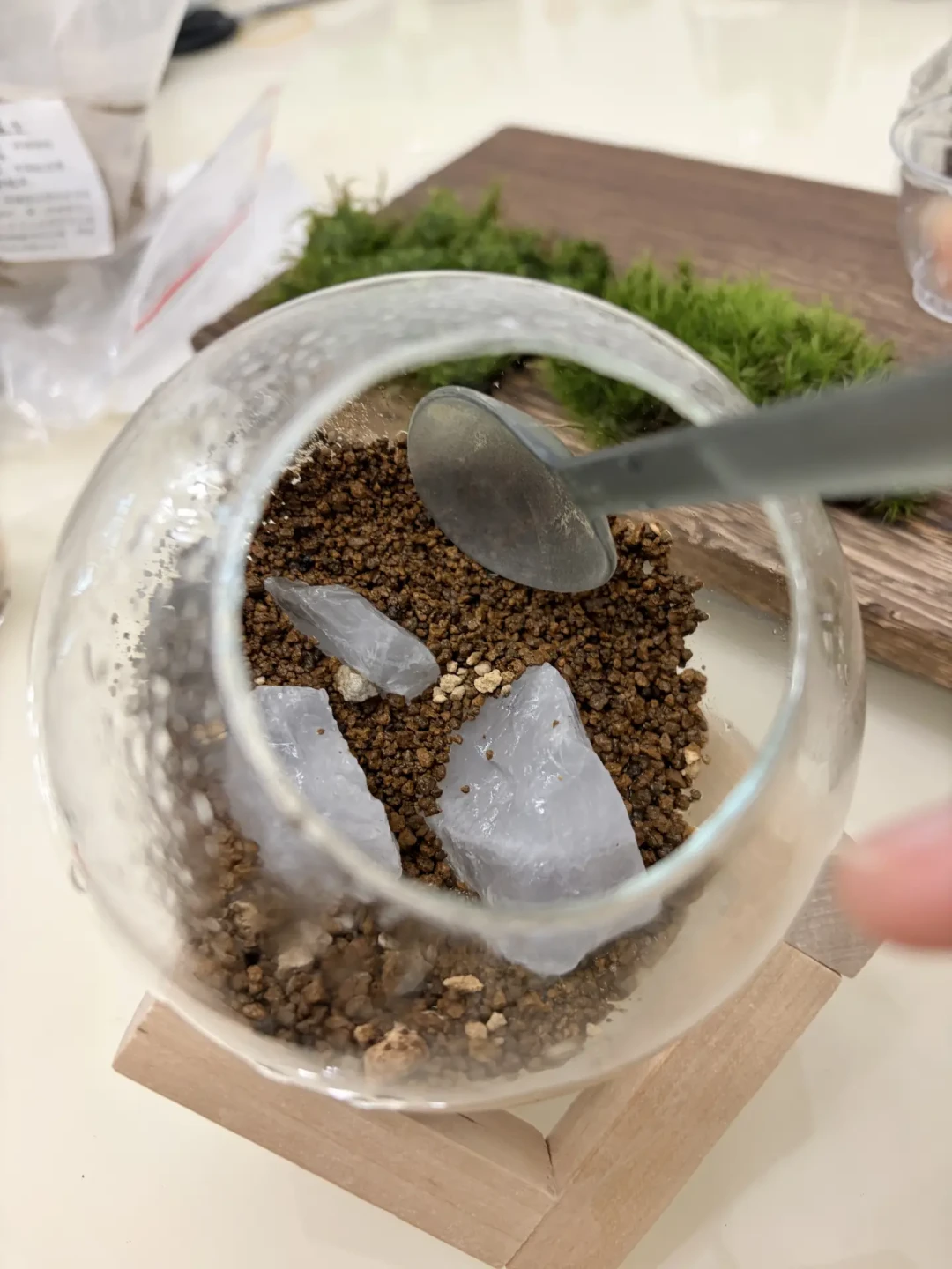 捡的苔藓一周就发黄长虫?不是手残,是装瓶前少做了一步