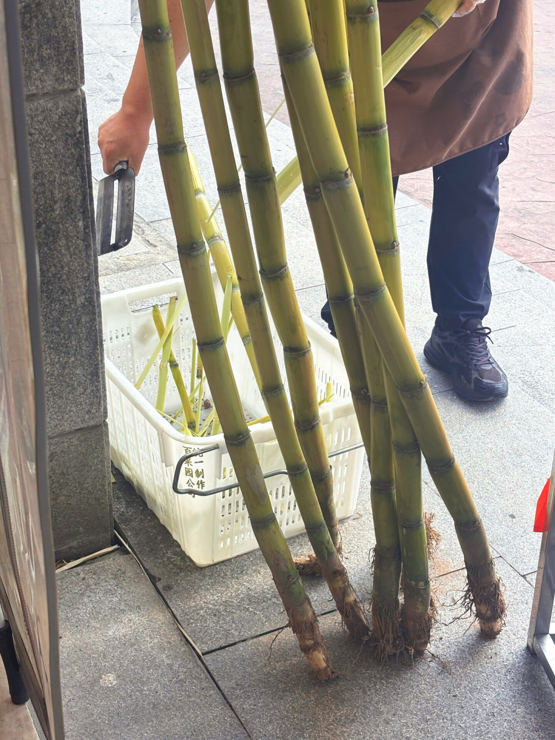 甘蔗季开秤,先别急着咬