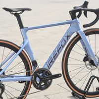 3999就能买电变？双11开卖前，帮你读完208条吵翻的评论