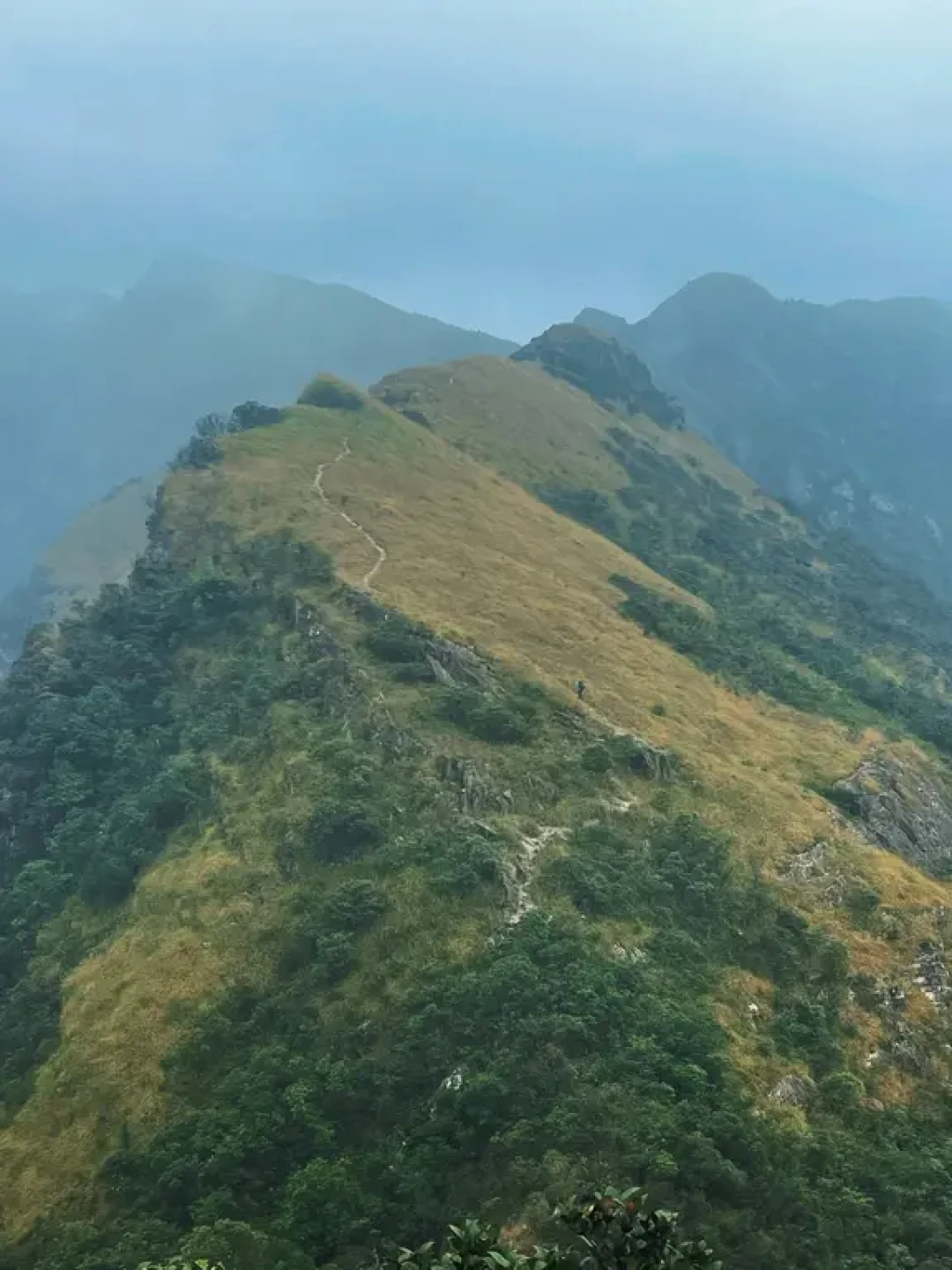船底顶的末班船:失联乌龙刚澄清,