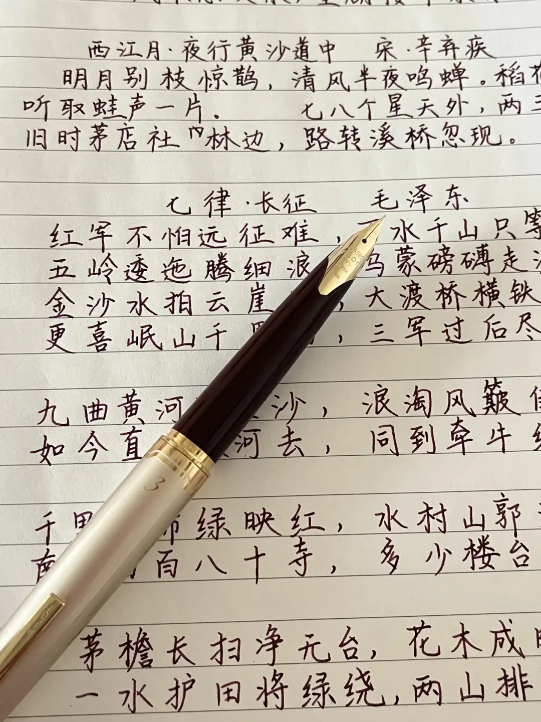 95s炒到600+、金豪59抢断货、君来610只卖65根:同一副短钢,三个价位买的是三样东西
