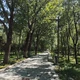 LSD卡150分钟，还是必须跑满32km？算笔账就知道，这两条规矩管的不是同一堂课