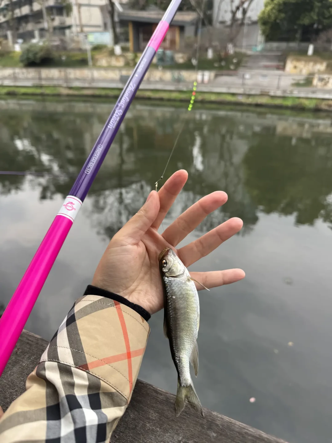 新渔业法施行半年,“一人一杆”还不是全国规则:双11付尾款前,先按水域把装备清单捋一遍