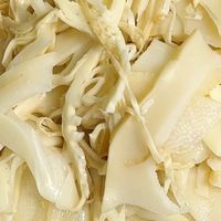 ✨厨房快手菜｜纸片嫩笋尖 500g 袋装