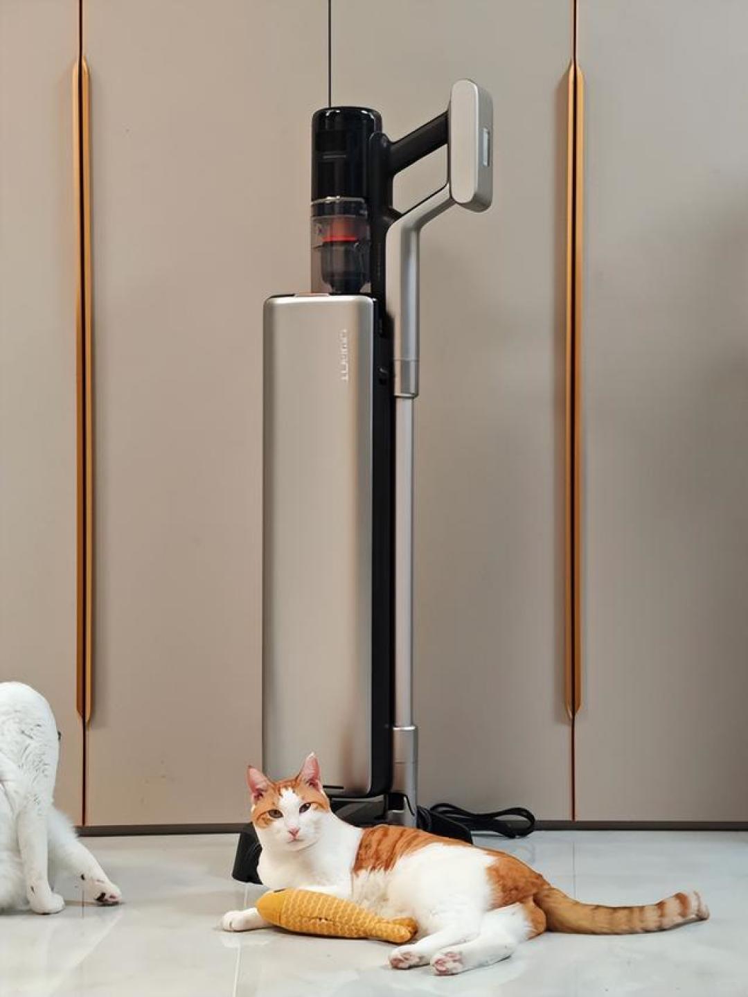暖气一开、窗一关,猫味就重了?先分清来源再选对方法