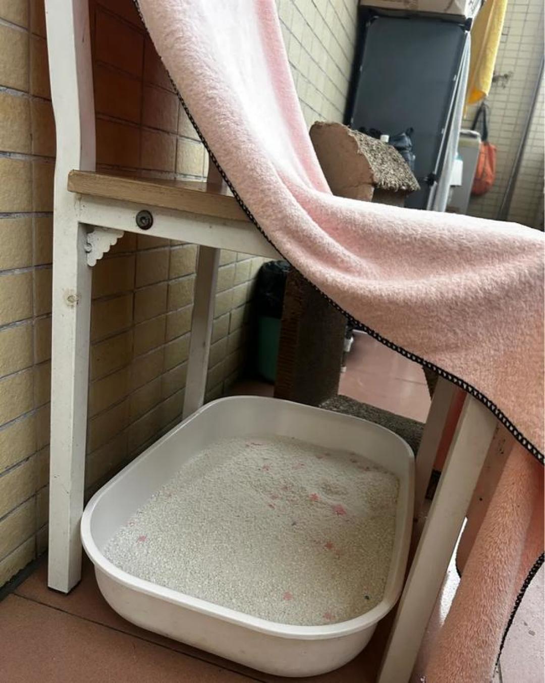 暖气一开、窗一关,猫味就重了?先分清来源再选对方法