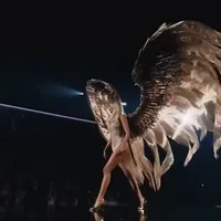 2026维密大秀落幕：刘雯第10次登台、奚梦瑶鎏金翅膀、5000万Fantasy Bra——老粉要不要补看，同款值不值得买？