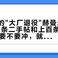 两三千的"大厂退役"赫曼米勒：对完30条二手帖和上百条评论，双11前要不要冲，就看这三笔账