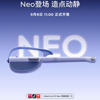 LiberLive双11开门红前夜三笔账：2042的水位、围上来的竞品，和评论区里"一边倒的夸"
