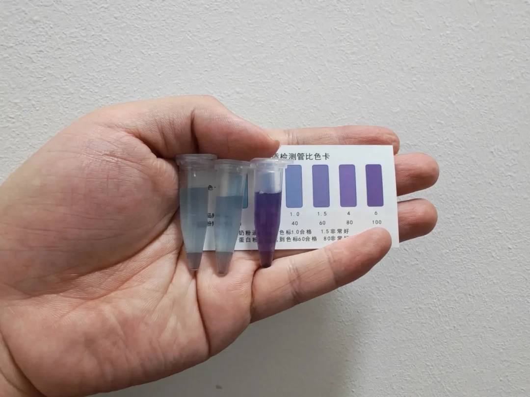 喝了俩月发现是假的：这个双十一，你的ON到件先过三道界面