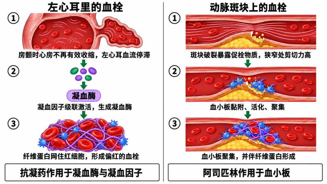 有人给爸妈囤两年拜耳阿司匹林:这药是救命药,也可能
