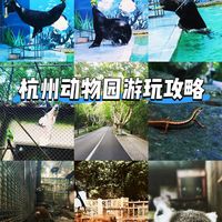 杭州动物园一日游玩攻略🦒20元治愈一整天