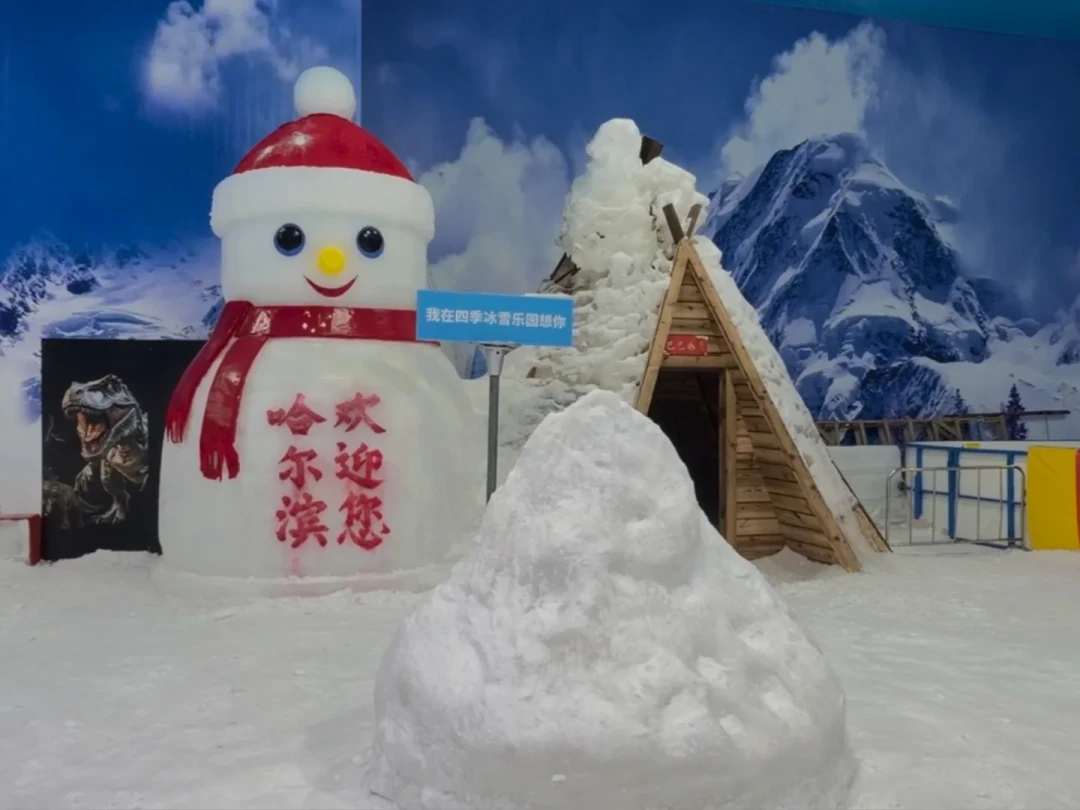 4岁娃摸不到大滑梯:上海5个室内真雪地,我按身高线排了一遍