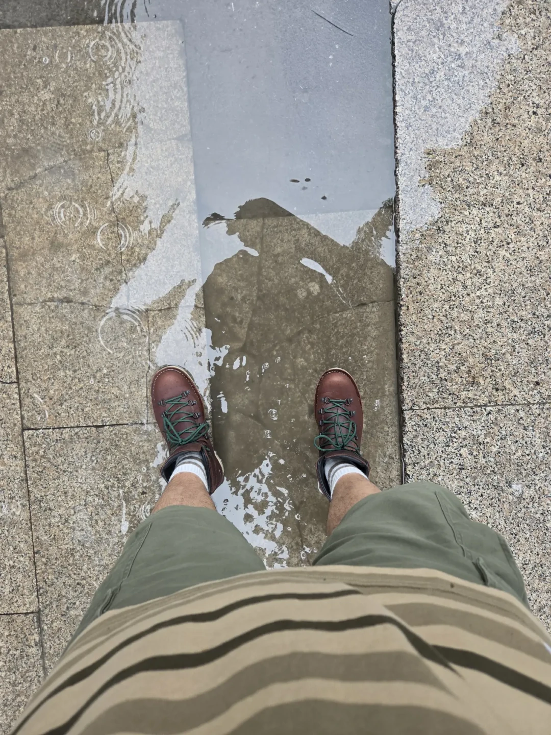 Danner