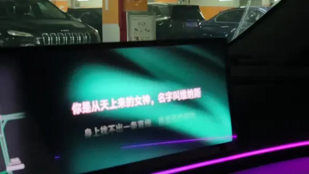 停摆两年,极越车主的里程表还在涨:我把12份