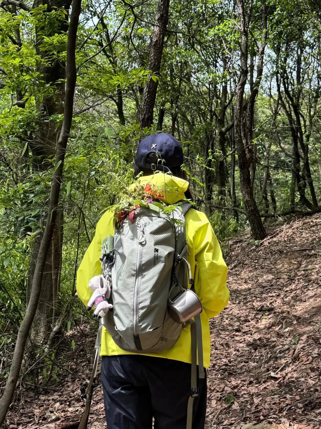 包不倒,是打包的事;肩酸,是没调对:双11买登山包,先对完三本账