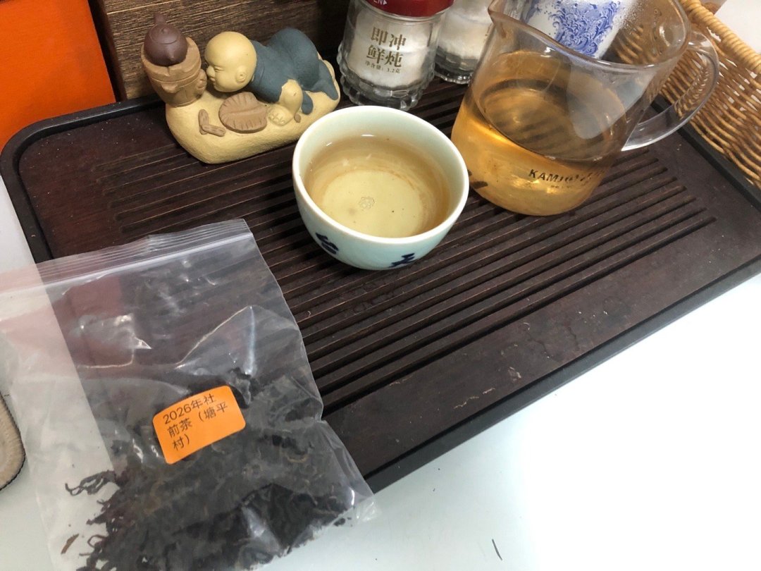 双11六堡囤茶前,先看懂这份“10年存放实验”:越陈越香,不等于越老越值钱