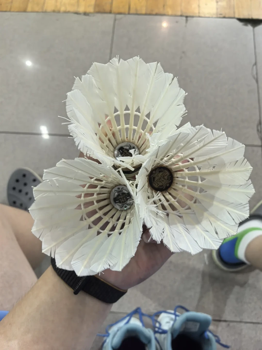 亚U 137、亚S 150、世纪球刚上架:亚狮龙