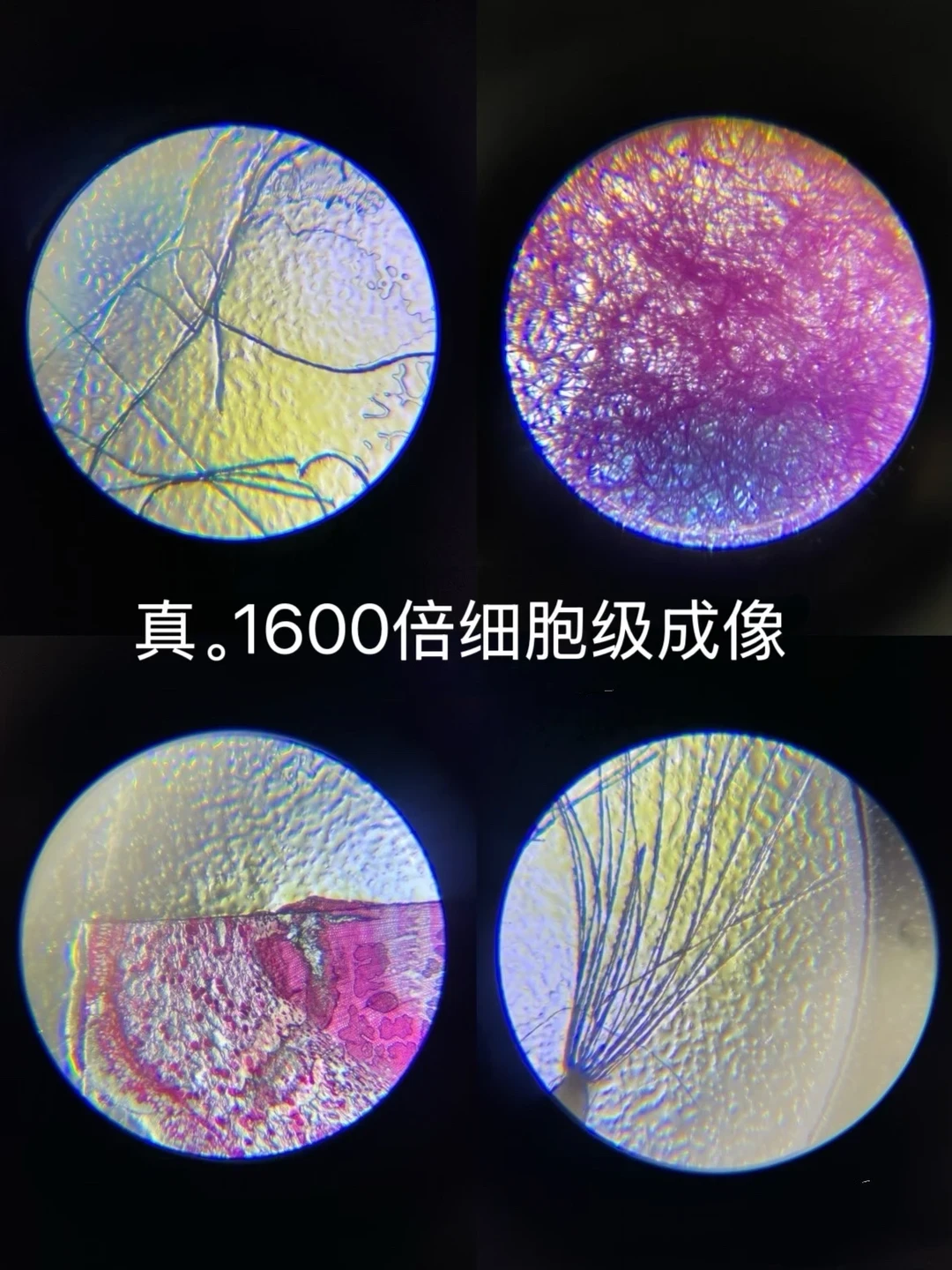 电路积木种草大爆款,雷却藏在别的线:双11科学罐头排雷图
