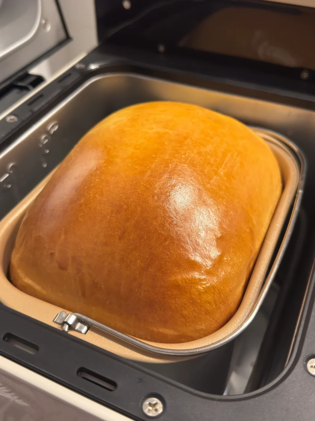 五月馒头化、十月一键爆顶:同一台柏翠面包机的换季玩法单,这个秋冬先把吃灰的机器救回来
